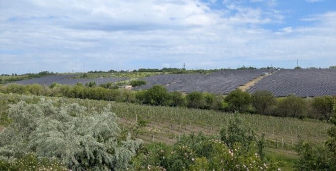 Rows of solar panels covering a hillside beyond vineyards and trees, under a partly cloudy sky.