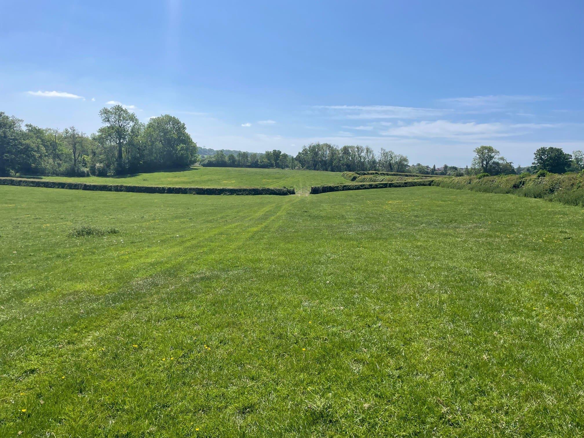 A large grassy field with trees on the horizon, at the site of the Rock Farm solar project.